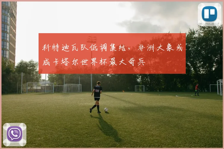 科特迪瓦队低调集结，非洲大象或成卡塔尔世界杯最大奇兵