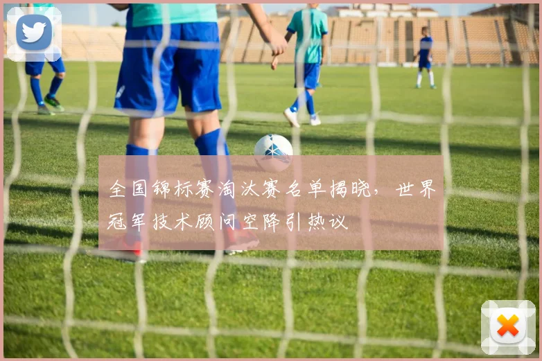 全国锦标赛淘汰赛名单揭晓，世界冠军技术顾问空降引热议